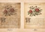 do professional art and antique photo editing and restoration
